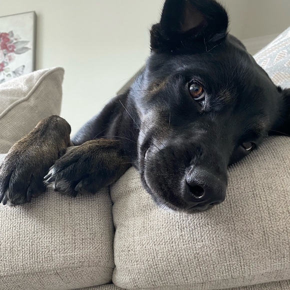 SHARE SHOW 6/20 11:45 EST!!! - Picture 4 of 8